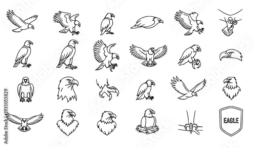 Eagle Line Art Vector Set with Flying, Perched, and Soaring Outline Icons