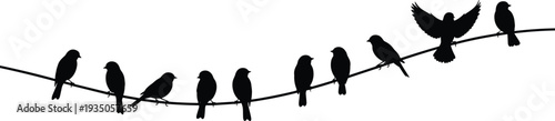 Birds sitting on wire silhouette collection with flying bird landing on cable, black bird flock perched on line vector illustration