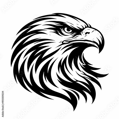 A majestic eagle's head is illustrated in a detailed black and white graphic, showcasing its sharp beak and piercing gaze from a close-up viewpoint.