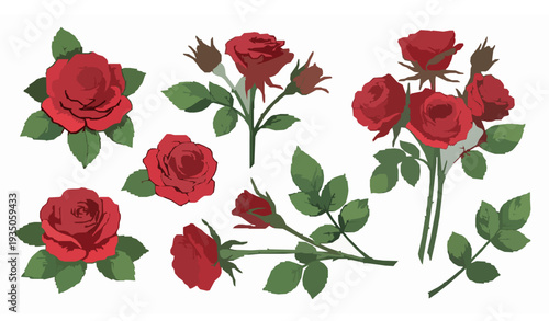 Elegant Hand Drawn Red Roses and Green Leaves Vector Set Isolated on White