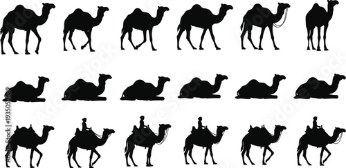 Set of black camel silhouettes, desert animal icons including dromedary walking, sitting, and rider vector illustrations for middle eastern travel and safari themes.