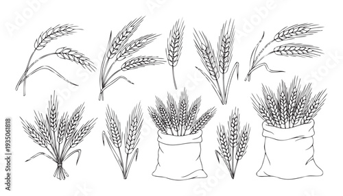 Handdrawn wheat ears and bundles arranged in various compositions, perfect for agriculturerelated food packaging, bakery product advertisements, or farmhousestyle decor
