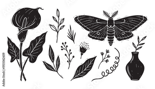 Elegant black and white moth and calla lily botanical collection for natureinspired prints, apparel, home decor, and spiritual branding