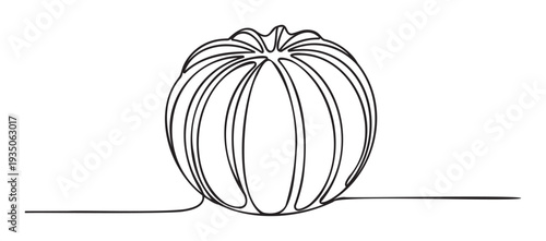 Elegant one line outline of a ribbed round pumpkin gourd, perfect for creating unique harvest festival invitations, wholesome cooking book covers, or fallthemed home furnishings.
