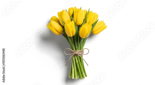 Beautiful bouquet of freshly cut yellow tulips on white background