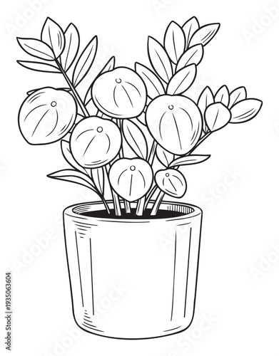 Decorative line drawing of a vibrant potted houseplant featuring various leaves perfect for botanical themed home decor and indoor garden projects