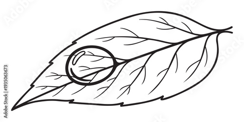 Simple black outline drawing of a fresh green leaf with a dewdrop, perfect for naturethemed projects, educational materials, environmental awareness campaigns, or childrens coloring books.