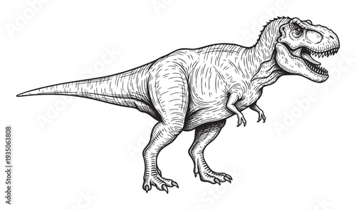 Hand drawn vintage style Tyrannosaurus Rex dinosaur standing in profile with an open mouth, suitable for educational materials, apparel, or themed media projects