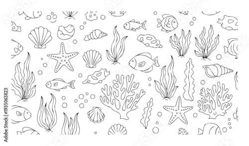 A cheerful collection of outline marine animals and underwater plants like fish, starfish, various seashells, and corals, perfect for childrens educational materials or summer aquatic