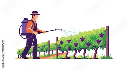A farmer sprays pesticide on a lush grape vineyard showcasing agricultural practice in a vibrant vector silhouette high quality professional detailed