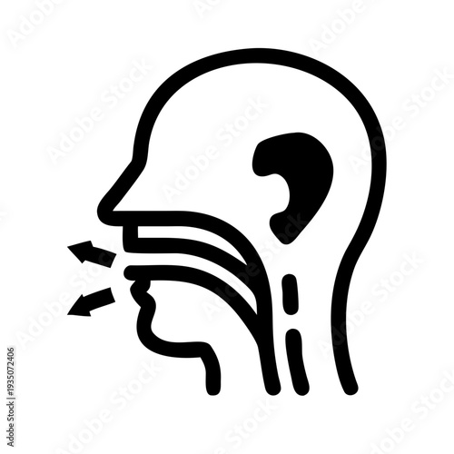 Medical illustration of a human head showing nasal and sinus cavities structure isolated on white background, Vector