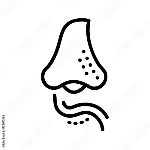 Anatomical illustration of a human nose and upper respiratory tract pathway. isolated on white background, Vector