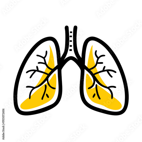Illustration of human lungs highlighting the bronchial tree structure within each lung. isolated on white background, Vector