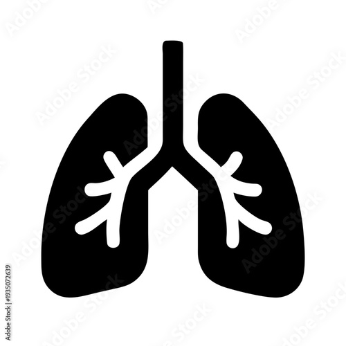 Anatomical illustration of the human lungs and bronchial tree structure isolated on white background, Vector
