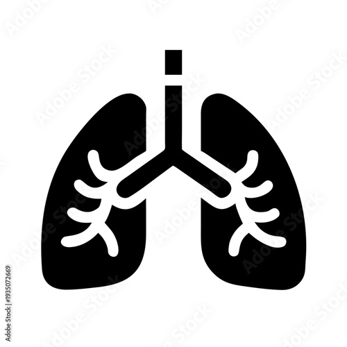 Anatomical illustration of the human lungs with bronchial tree structure isolated on white background, Vector