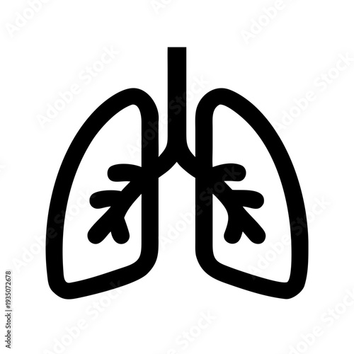 Diagram of human lungs showing bronchial structure and airways isolated on white background, Vector