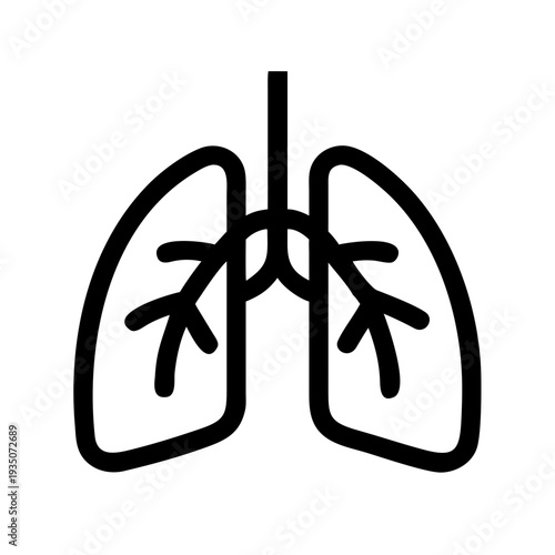 Diagram of the human lungs and bronchial tree structure isolated on white background, Vector