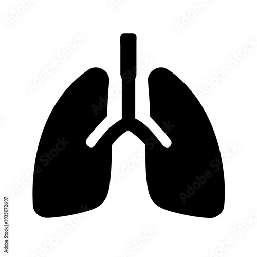 Black and white illustration of human lungs with central airway branching isolated on white background, Vector