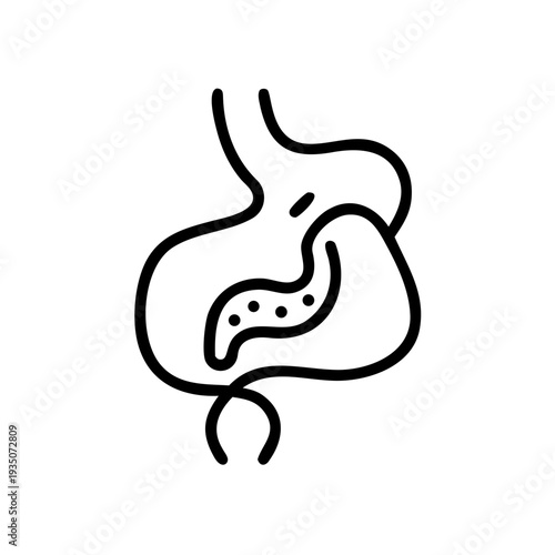 Simple illustration of the human small intestine and part of the large intestine. isolated on white background, Vector