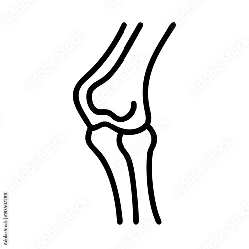 Anatomical illustration of a human elbow joint with humerus and forearm bones isolated on white background, Vector