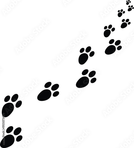 Easter sunday footprints of easter bunny