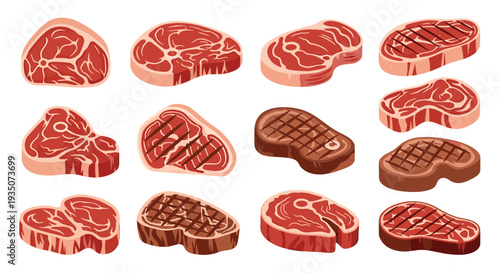 Detailed collection of raw and grilled meat steaks including beef, pork, and lamb cuts displayed in a grid on a white background.