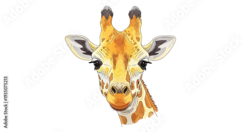 Close-up Portrait of a Giraffe Face with Expressive Eyes and Spotted Pattern