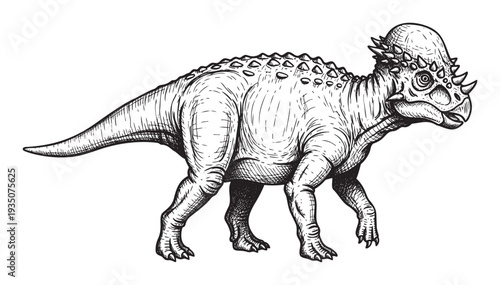 Detailed vintage style Pachycephalosaurus dinosaur sketch, perfect for educational content, paleontology studies, and childrens science projects.