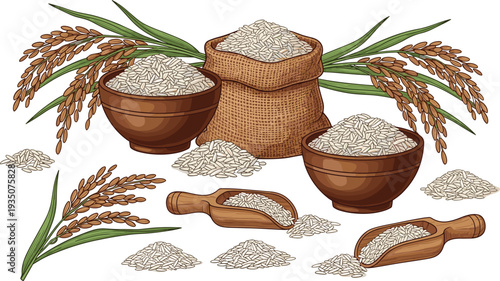 Rice Grains with Wooden Bowls, Sack Bag, and Paddy Plants Illustration for Agriculture Harvest, Organic Food Ingredient, and Farming Concept Design