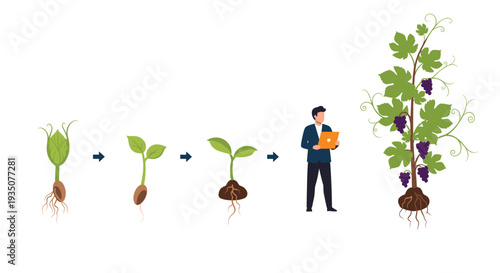 Sequential stages of a plant growing from a seed to a mature grapevine with a man monitoring the process using a laptop computer.