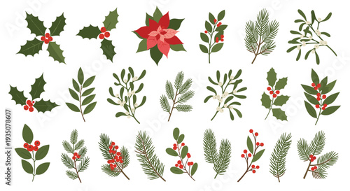 Christmas botanical collection features various winter plants like holly berries, mistletoe branches, and pine needles.