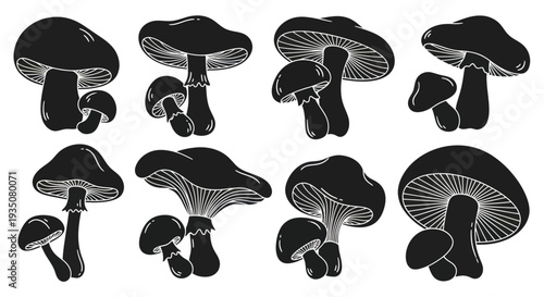 Set of black silhouette mushrooms with gills, isolated on white background
