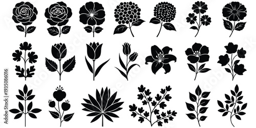 Art & IllustrationFlat vector illustration of flower plant silhouettes, botanical grid design with diverse floral shapes leaves stems nature artwork classification