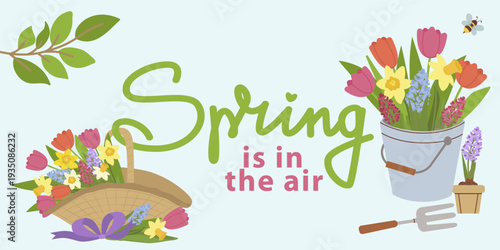 Horizontal vector illustration with Spring is in the air text, a wicker basket full of tulips, a metal bucket with blossoms, and garden fork. Great for seasonal marketing and cards.
