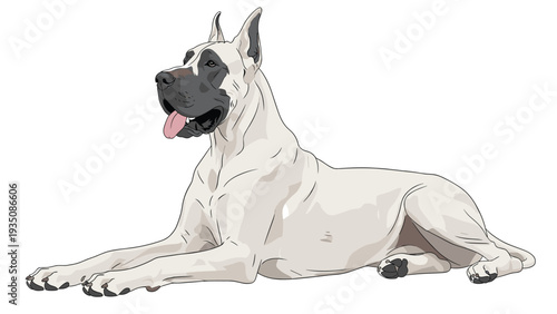 Large and elegant Great Dane dog lying down calmly on a white background with its tongue out in a detailed animal illustration.