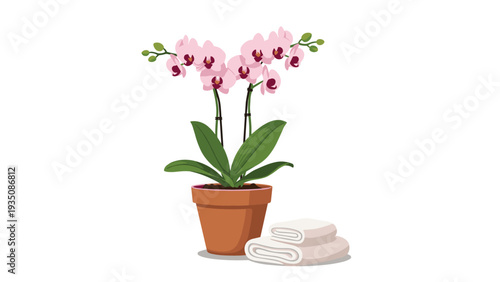 Beautiful pink orchid plant in a terracotta pot sitting next to a stack of clean white towels in a spa or bathroom setting.