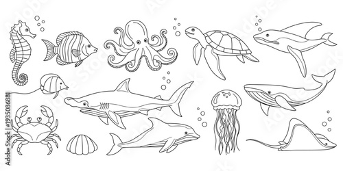 Flat vector illustration of marine life sea creatures, dolphin whale turtle fish octopus crab jellyfish seahorse seashell underwater design