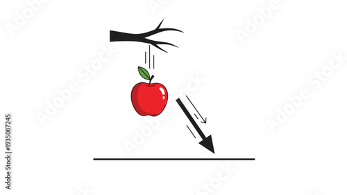Educational physics diagram showing the law of gravity with a red apple falling from a dark tree branch towards the flat ground.
