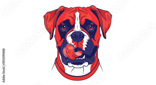 Boxer Dog Portrait, Tongue Licking, Red, Blue, White Colors