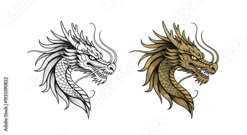 Traditional Chinese Dragon Head Illustration - Black and White and Colored Versions