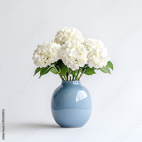 Elegant White Hydrangeas in Blue Ceramic Vase on Minimalist Background