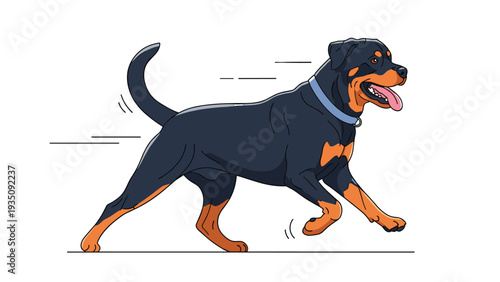 Powerful Rottweiler dog with black and tan coat running fast with its tongue out on a white background with motion lines.