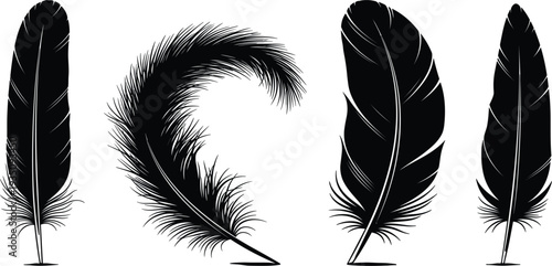 Set of Black Feather Silhouettes and Quill Pen Icons for Vintage Writing, Literary Themes, Bohemian Decor, Bird Nature Graphics, and Elegant Branding Designs