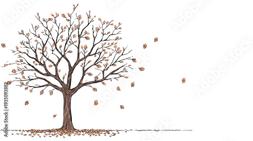 Autumnal tree illustration bare branches and falling leaves on white background