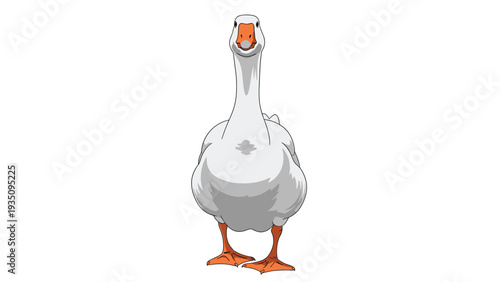 Large white goose with an orange beak and legs standing and looking directly at the viewer on a white background.