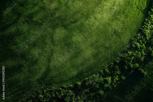 Aerial View of Green Grass and Bushes