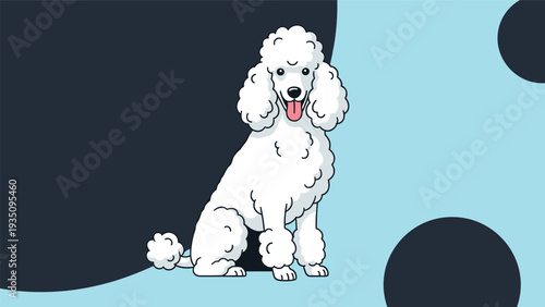 Beautiful white poodle with curly fur sitting upright and smiling at the viewer against a blue and black background.