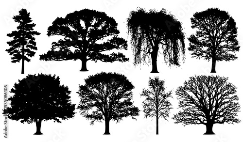 A set of tree silhouettes in various styles and shapes on a white background