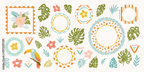 Tropical floral and leaf illustrations with decorative frame elements