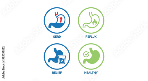 Illustrative comparison of gastrointestinal conditions including gerd reflux relief and a healthy stomach silhouette high quality professional detailed modern elegant stylish